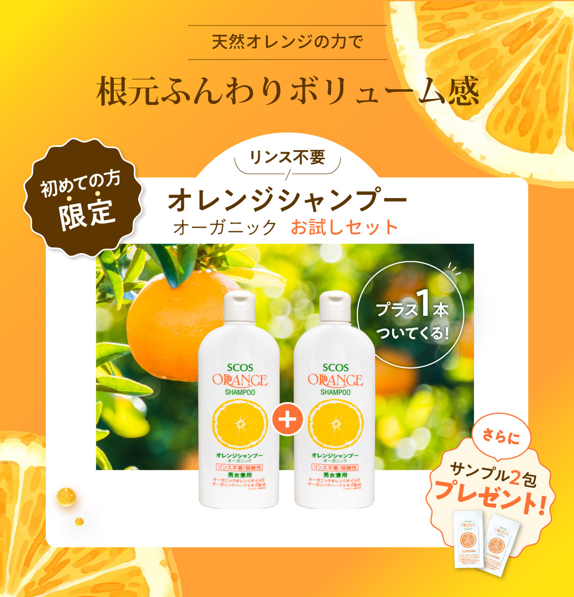 オレンジシャンプー 今なら1本の価格で2本お届けのチャンス！
